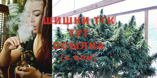 mdpv Горняк