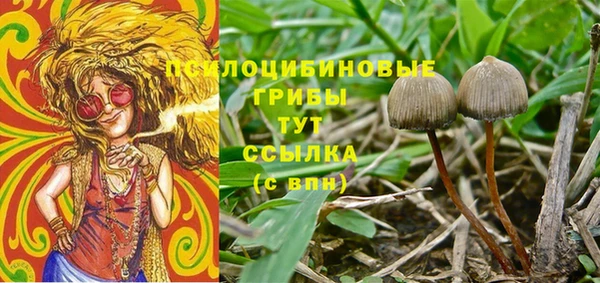 прущая мука Горно-Алтайск